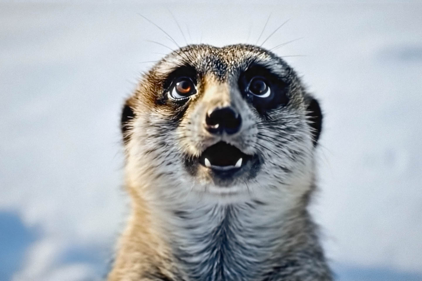 GESCHENKT – AUDIOBOOK